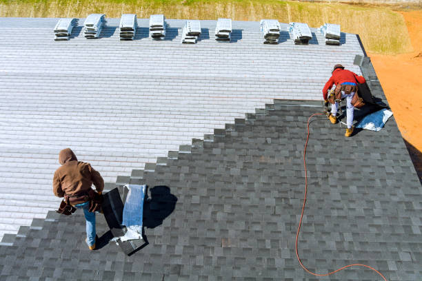 Best Roof Restoration Services  in Lake Of The Woods, VA