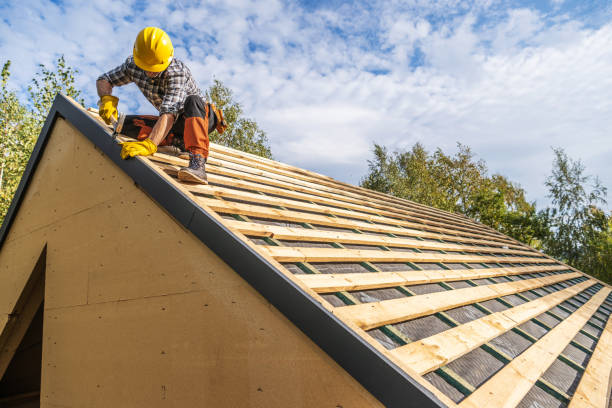 Best Roof Maintenance Services  in Lake Of The Woods, VA