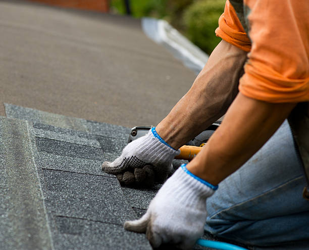 Best Metal Roofing Contractor  in Lake Of The Woods, VA